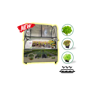 *NEW* Mini Greenhouse