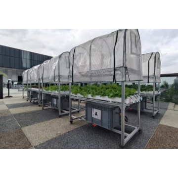 SMARTAGRO Vertical Farming & Plant Factory - Precision CEA Solutions