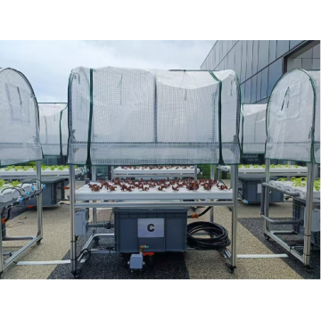 SMARTAGRO Vertical Farming & Plant Factory - Precision CEA Solutions