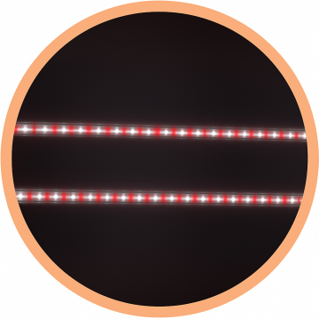 EZYGRO Precision LED Grow Lights for Commercial CEA Lighting