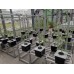 Bato Bucket/Dutch Bucket Hydroponic System