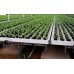 Greenhouse Rolling Benches