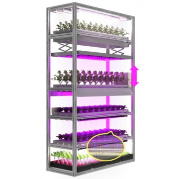 SMARTAGRO Vertical Farming & Plant Factory - Precision CEA Solutions