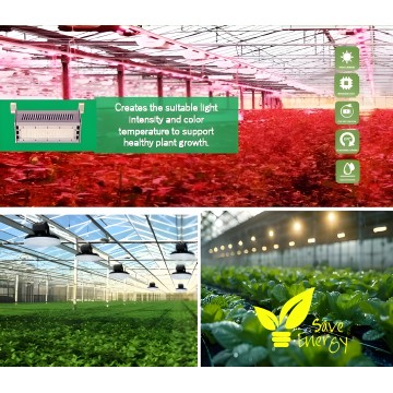 LED Supplementary Light Series