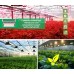EZYGRO Series Grow Light, Artificial lighting in agriculture