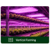 EZYGRO Precision LED Grow Lights for Commercial CEA Lighting