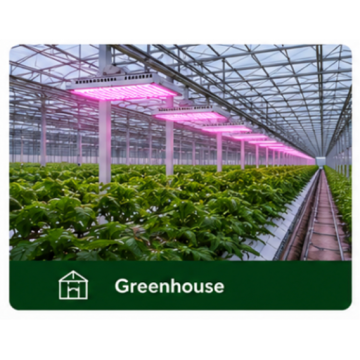 EZYGRO Precision LED Grow Lights for Commercial CEA Lighting